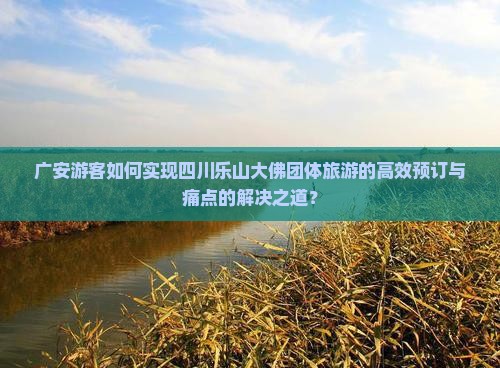 广安游客如何实现四川乐山大佛团体旅游的高效预订与痛点的解决之道？