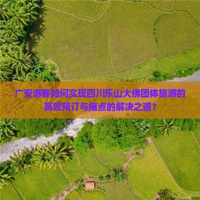 广安游客如何实现四川乐山大佛团体旅游的高效预订与痛点的解决之道？