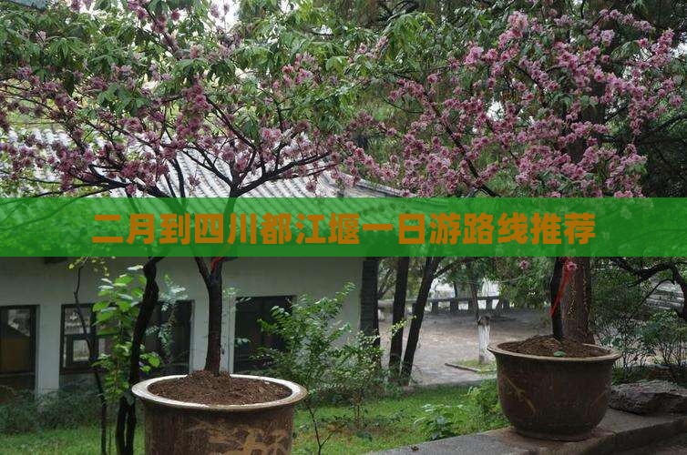 二月到四川都江堰一日游路线推荐