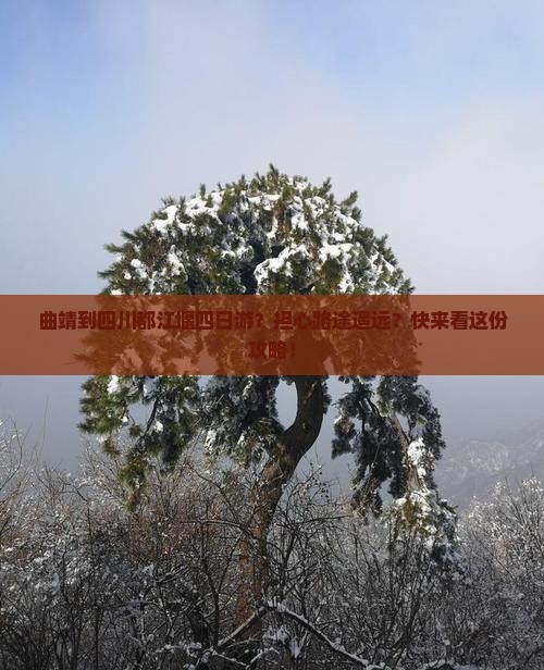 曲靖到四川都江堰四日游？担心路途遥远？快来看这份攻略！