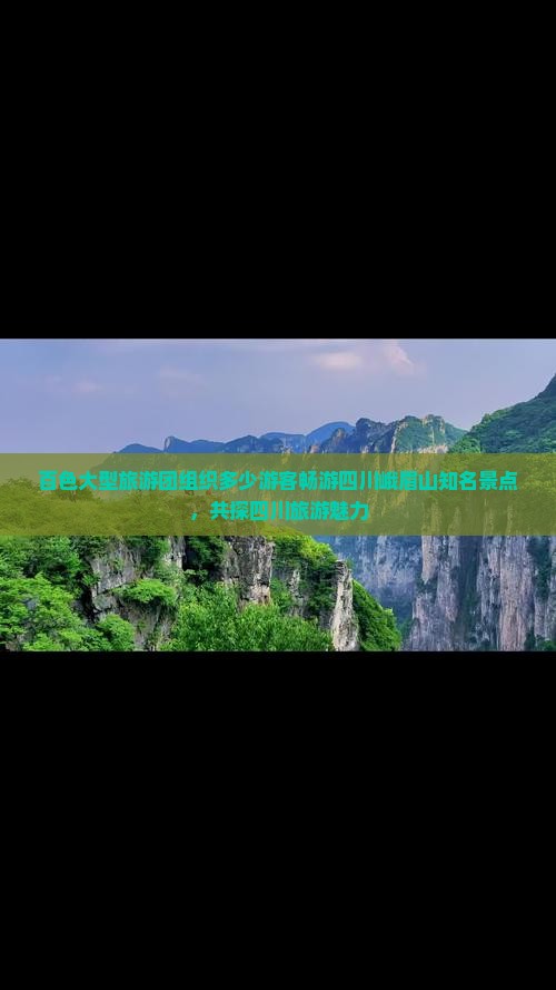 百色大型旅游团组织多少游客畅游四川峨眉山知名景点，共探四川旅游魅力