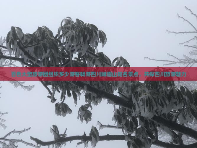 百色大型旅游团组织多少游客畅游四川峨眉山知名景点，共探四川旅游魅力