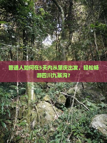 普通人如何在5天内从肇庆出发，轻松畅游四川九寨沟？