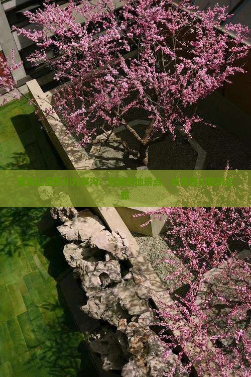 武夷山至四川九寨沟：穿越两地景点，畅享四川旅游之旅