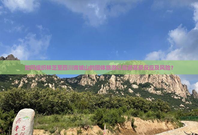 如何组织林芝至四川青城山的团体旅游以规避高原反应及风险？