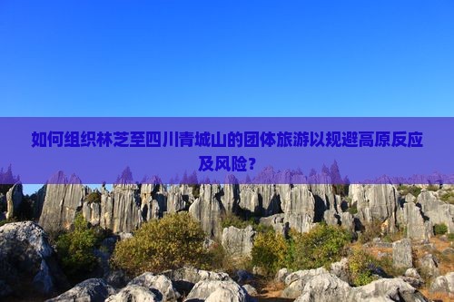 如何组织林芝至四川青城山的团体旅游以规避高原反应及风险？