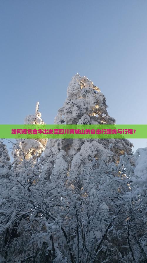如何规划金华出发至四川青城山的自由行路线与行程？