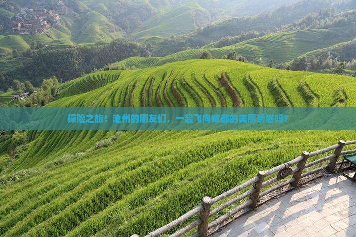 探险之旅！池州的朋友们，一起飞向成都的美丽诱惑吗？