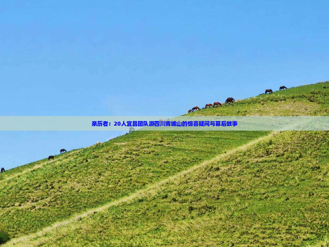 亲历者：20人宜昌团队游四川青城山的惊喜疑问与幕后故事