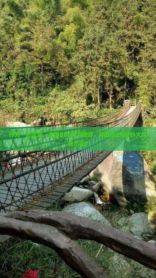 作为一名吃货，去四川九寨沟旅游，有哪些必尝的5大特色小吃？