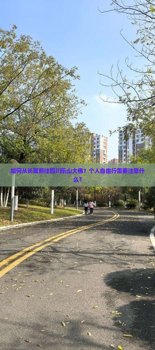 如何从长葛前往四川乐山大佛？个人自由行需要注意什么？