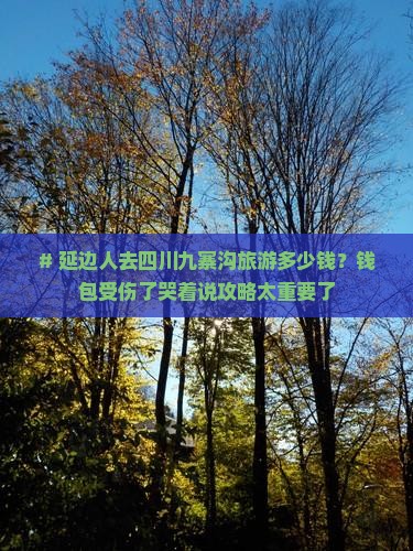 # 延边人去四川九寨沟旅游多少钱？钱包受伤了哭着说攻略太重要了