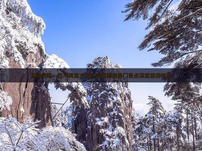 玉树启程：四川黄龙大型旅游团畅游热门景点深度旅游体验
