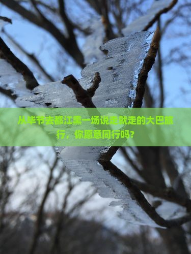 从毕节去都江熏一场说走就走的大巴旅行，你愿意同行吗？