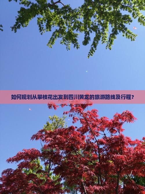 如何规划从攀枝花出发到四川黄龙的旅游路线及行程？