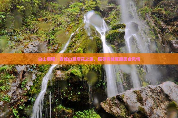 白山启程：青城山豆腐花之旅，探寻青城豆腐美食风情