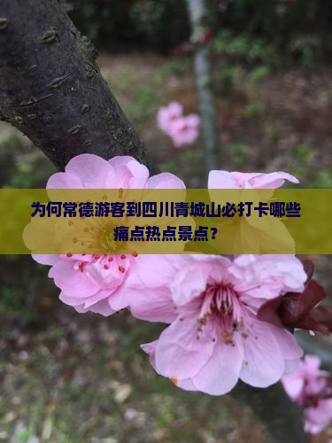 为何常德游客到四川青城山必打卡哪些痛点热点景点？