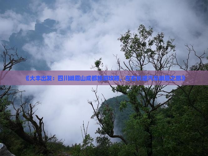 《大丰出发：四川峨眉山成都旅游攻略，左右长途汽车峨眉之旅》