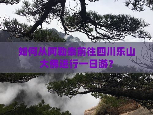如何从阿勒泰前往四川乐山大佛进行一日游？