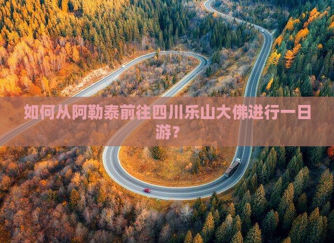 如何从阿勒泰前往四川乐山大佛进行一日游？