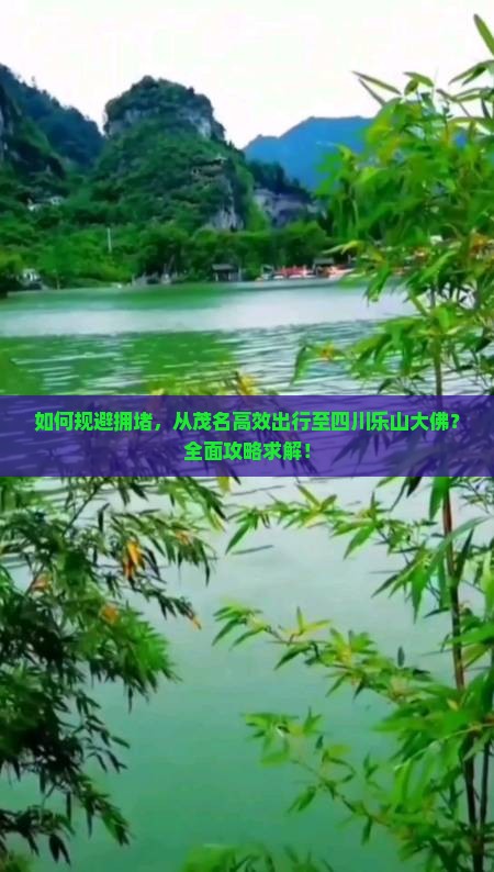 如何规避拥堵，从茂名高效出行至四川乐山大佛？全面攻略求解！