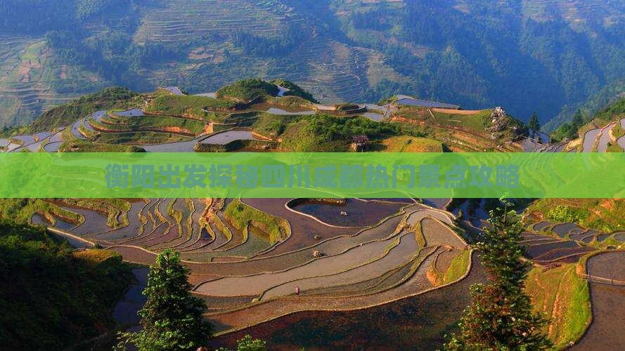 衡阳出发探秘四川成都热门景点攻略