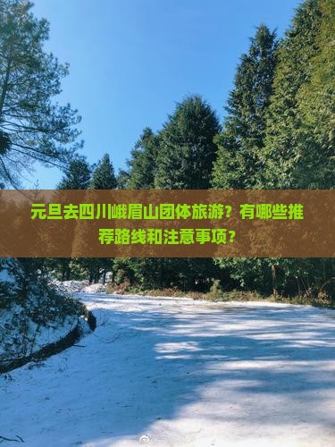 元旦去四川峨眉山团体旅游？有哪些推荐路线和注意事项？
