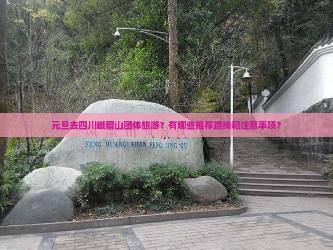 元旦去四川峨眉山团体旅游？有哪些推荐路线和注意事项？