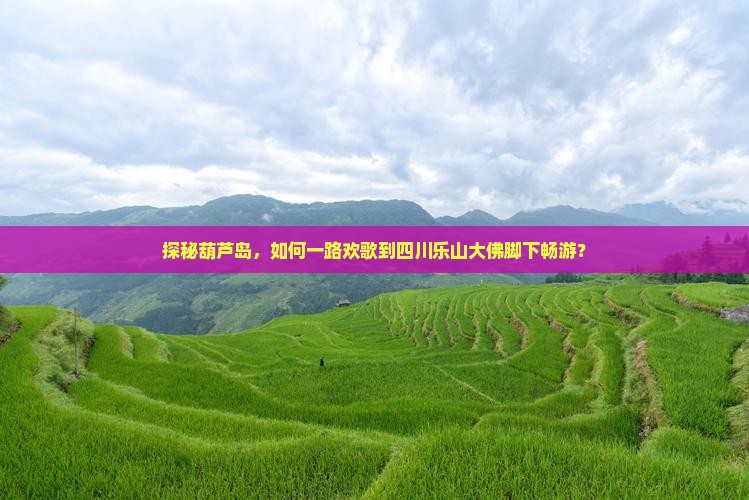 探秘葫芦岛，如何一路欢歌到四川乐山大佛脚下畅游？