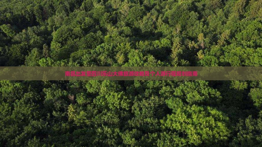 南昌出发至四川乐山大佛旅游攻略及个人游行程规划指南