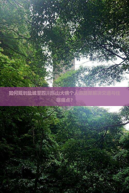 如何规划盐城至四川乐山大佛个人游路犀解决交通与住宿痛点？