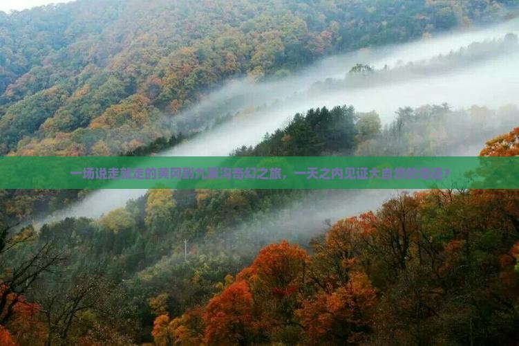 一场说走就走的黄冈到九寨沟奇幻之旅，一天之内见证大自然的奇迹？