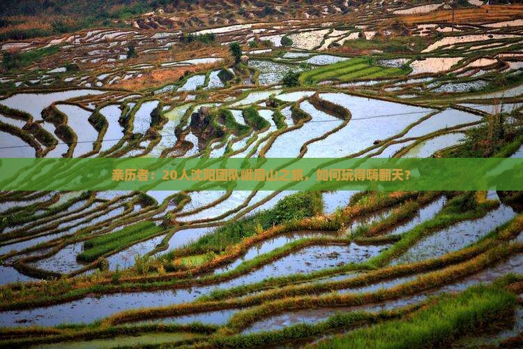 亲历者：20人沈阳团队峨眉山之旅，如何玩得嗨翻天？
