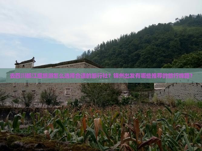 去四川都江堰旅游怎么选择合适的旅行社？锦州出发有哪些推荐的旅行线路？