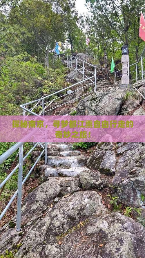探秘南京，寻梦都江熏自由行走的奇妙之旅！