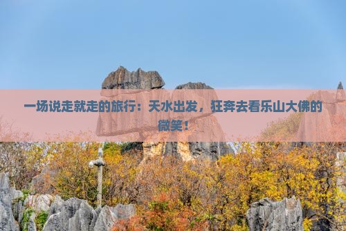 天水去四川乐山大佛一日