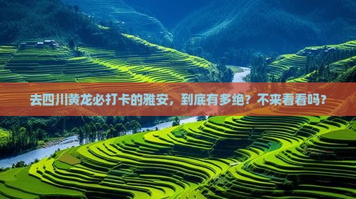 雅安去四川黄龙必去地