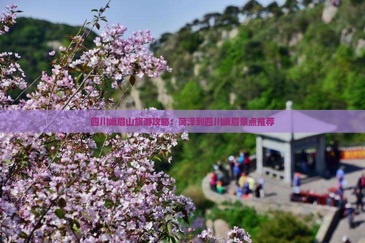 菏泽去四川峨眉山景点