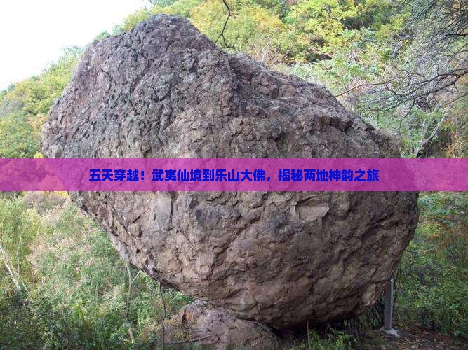 武夷山到四川乐山大佛五日游