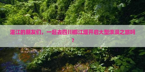 湛江到四川都江堰大型旅游团