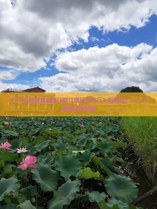 临猗去四川都江堰自由团