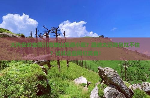 大兴安岭去四川青城山旅游小吃