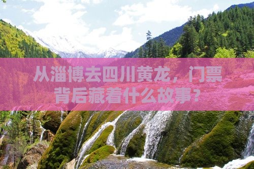 淄博到四川黄龙门票