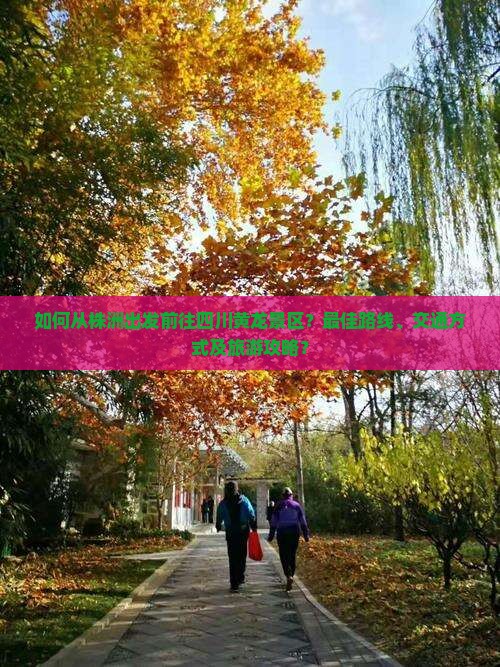 株洲去四川黄龙景点