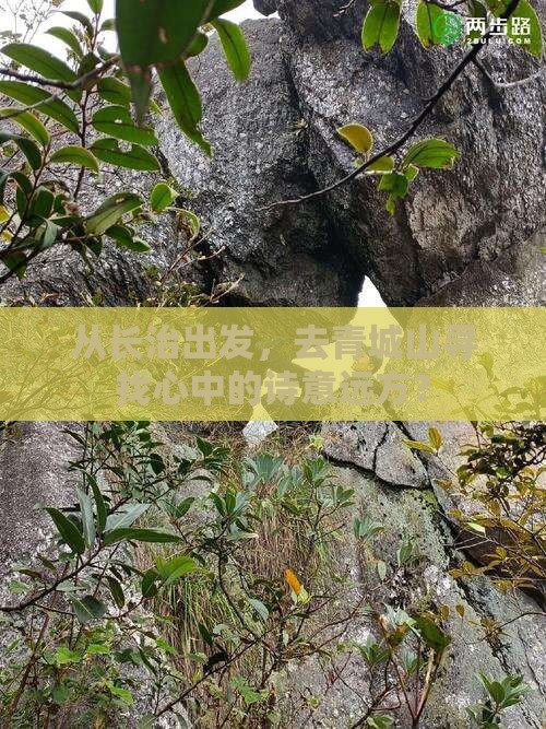 长治去四川青城山旅行社