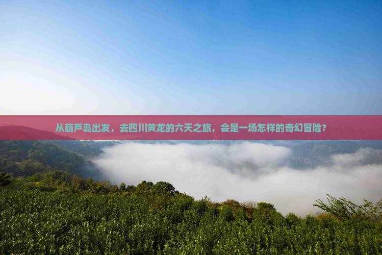 葫芦岛去四川黄龙六日游