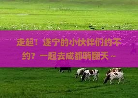 遂宁去四川成都大型旅游团