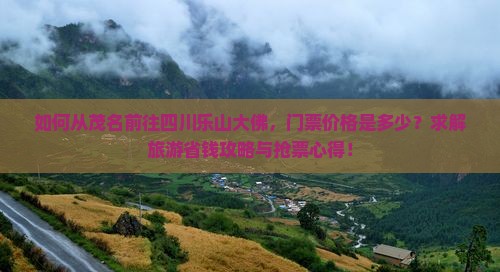 茂名到四川乐山大佛门票