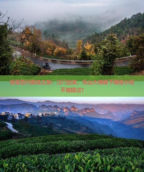 江门去四川乐山大佛旅游小吃