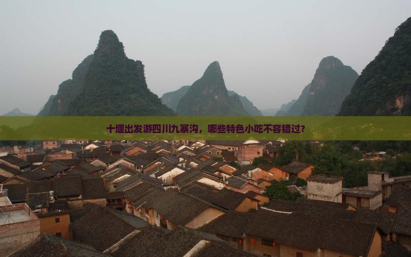 十堰去四川九寨沟旅游小吃